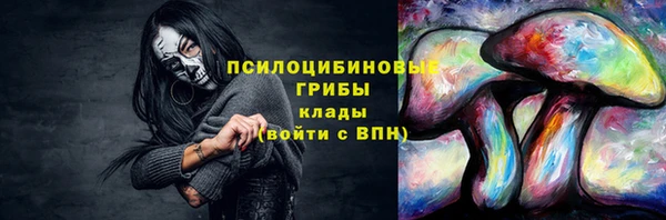 дурь Арсеньев