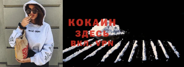 молекула духа Балахна
