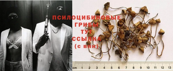 трава Баксан