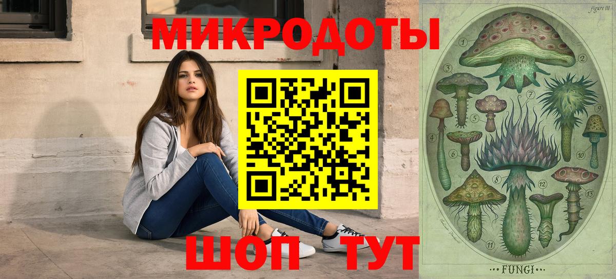 Псилоцибиновые грибы мицелий Елабуга